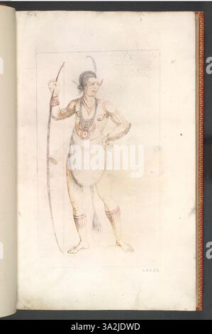 Diese Illustration von John White (0509.2, 134622001) aus dem Jahr 1906 zeigt ein botanisches Exemplar aus dem frühen Amerika, das Einblicke in die einheimische Pflanzenwelt der Region bietet. Stockfoto