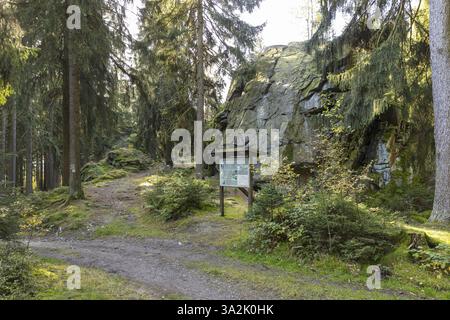 Wanderweg und Infotafel im Wald bei der Wendelsteinformation bei Gruenbach, Vogtland, Sachsen, Deutschland, Europa Stockfoto