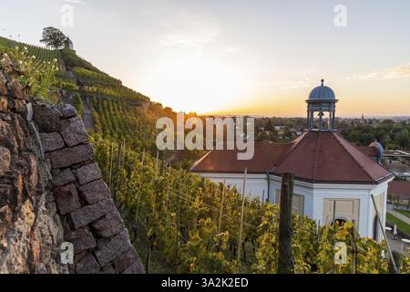 Belvedere im Weinberg bei Sonnenaufgang, Schlosspark Wackerbarth, Radebeul, Sachsen, Deutschland, Europa Stockfoto