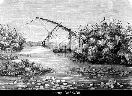 Der Weiße Nil in den Tropen, blühende Seerosen, Farne, Natur, reiche Vegetation, Sudan, Segelboote, Dau, Kolonialzeit, historisches Illustrat Stockfoto