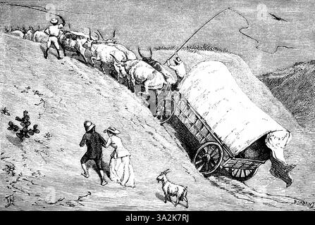 Ein Team von Ochsen zieht einen überdachten Wagen nach einer Flussüberquerung das steile Ufer hoch, Peitschen, Paar, Ziege, Kolonialzeit, Namibia, ehemalige deutsche Kolonie Stockfoto