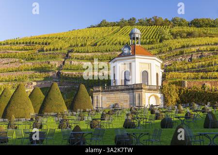Belvedere im Weinberg, Schlosspark Wackerbarth, Radebeul, Sachsen, Deutschland, Europa Stockfoto