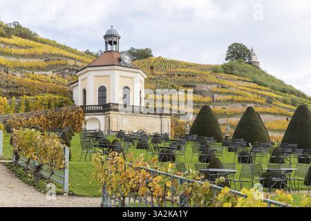 Belvedere von Schloss Wackerbarth mit Jacobstein und herbstfarbenen Weinbergen, Radebeul, Sachsen, Deutschland, Europa Stockfoto