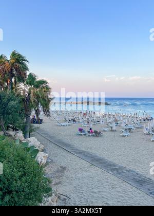 Eine ruhige Strandszene in Protaras, Zypern, mit einer Palme und einem Sandweg, der zum türkisfarbenen Meer führt. Perfekt für Reisen und Sommerurlaub Stockfoto