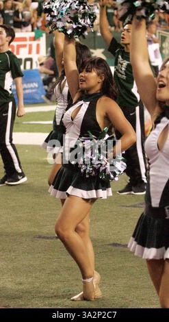 30. August 2014 - Honolulu, HI, USA - 30. August 2014 - Rainbow Warrior Tänzer während der Aktion zwischen den Hawaii Rainbow Warriors und den Washington Huskies auf Hawaiian Airlines Field im Aloha Stadium in Honolulu, Hawaii. (Bild: © Michael Sullivan/Cal Sport Media/ZUMAPRESS.com) Stockfoto