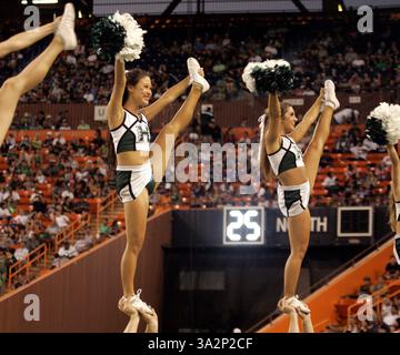30. August 2014 - Honolulu, HI, USA - 30. August 2014 - Hawaii Cheerleader während einer Aktion zwischen den Hawaii Rainbow Warriors und den Washington Huskies auf dem Hawaiian Airlines Field im Aloha Stadium in Honolulu, Hawaii. (Bild: © Michael Sullivan/Cal Sport Media/ZUMAPRESS.com) Stockfoto