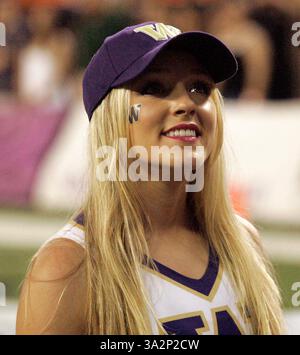 30. August 2014 - Honolulu, HI, USA - 30. August 2014 - Washington Cheerleader während einer Aktion zwischen den Hawaii Rainbow Warriors und den Washington Huskies auf Hawaiian Airlines Field im Aloha Stadium in Honolulu, Hawaii. (Bild: © Michael Sullivan/Cal Sport Media/ZUMAPRESS.com) Stockfoto
