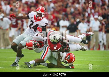 13. September 2014 - Columbia, SC, USA - South Carolina Gamecocks Tight End Rory Anderson (81) trägt den Ball in der ersten Hälfte des Gamecocks-Spiels gegen Georgia im Williams-Brice Stadium am Samstag, den 13. September 2014 in Columbia, S.C. die Gamecocks verärgerten Georgia um einen Sieg von 38-35. (Bild: © Kim Kim Foster-Tobin/MCT/ZUMA Wire) Stockfoto