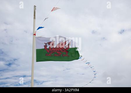 Der rote Drache fliegt in der Flagge von Wales. Stockfoto
