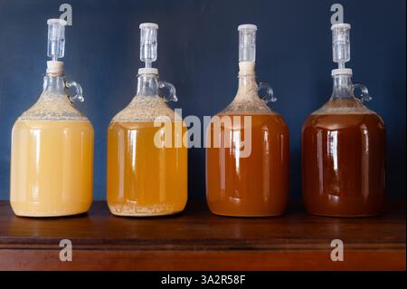 Vier Ballonflaschen gefüllt mit Flüssigkeit, die in der Farbe von hellem Gold bis dunklem Bernstein mit Luftschleusen variiert Stockfoto