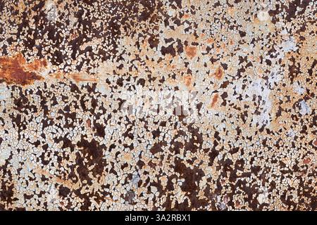 Textur von rostigem Metall. Der Hintergrund besteht aus rostigem Metall mit abblätternder weißer Farbe Stockfoto