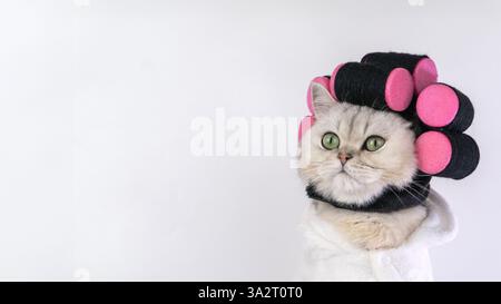 Entzückende Katze mit rosa Haarellen und weißer Handtuchverpackung, die neugierig aussieht Stockfoto