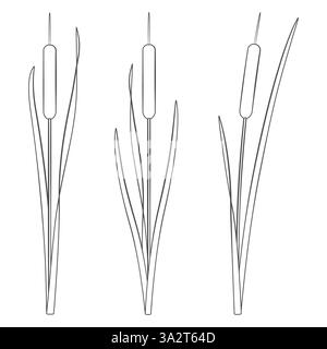 Satz von Schwarz-weiß-Illustrationen mit Raubkatzen, Schilf. Isolierte Vektorobjekte auf weißem Hintergrund. Stock Vektor