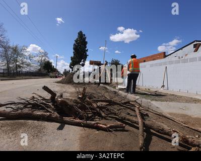 Pico Rivera, USA. März 2025. Arbeiter entfernen Filialen nach einem Tornado in Pico Rivera, Los Angeles, Kalifornien, USA, am 13. März. 2025. ein Tornado zog am frühen Donnerstagmorgen durch Los Angeles County, Südkalifornien, ein, bestätigte der U.S. National Weather Service (NWS). Der Tornado verursachte äußere Schäden an Häusern und Autos und riss mehrere Bäume, sagte NWS. Quelle: Qiu Chen/Xinhua/Alamy Live News Stockfoto