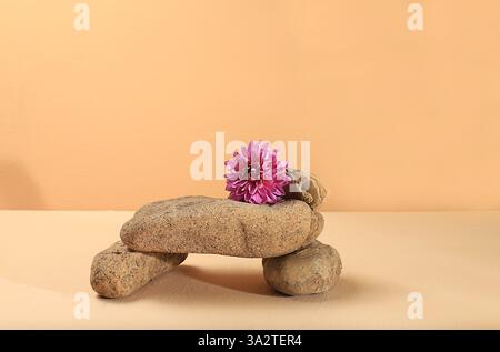 Minimaler abstrakter Hintergrund für die Präsentation kosmetischer Mittel. Premium leeres Podium mit groben Kieselsteinständern und Dahlienblume, Vorlage Stockfoto