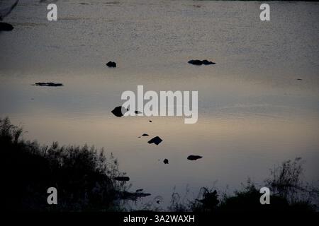 Gurye County, Südkorea - 3. Oktober 2021: Kleine Felsen brechen die Oberfläche des ruhigen Seomjin River, während das sanfte Abendlicht auf dem Wasser reflektiert wird Stockfoto