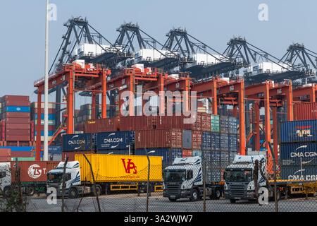 Hongkong. China- 02.18.2025. Container-Lieferwagen, die im Hafen von Hongkong ankommen, um ihre Ladung zu entladen, damit die Hafenkrane sie beladen können Stockfoto