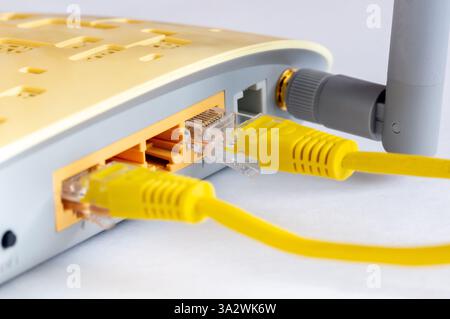 Nahaufnahme der LAN-Netzwerk-Switch-Anschlüsse mit angeschlossenen Ethernet-Kabeln. Isoliert auf weißem Hintergrund. Stockfoto