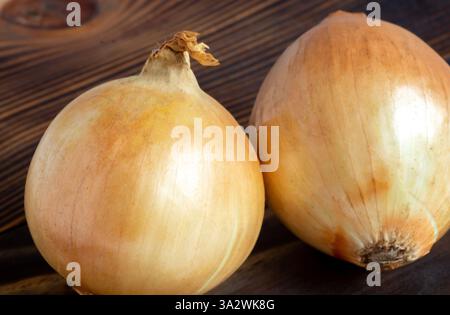 Nahaufnahme von Zwiebeln auf hölzernem Hintergrund. Das Konzept der Bio-Produkte, Vitamine. Gesunder Lebensstil und richtige Ernährung. Stockfoto