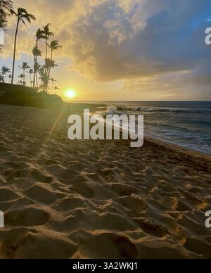 Wunderschöne Landschaft am Strand von Hawaii Stockfoto