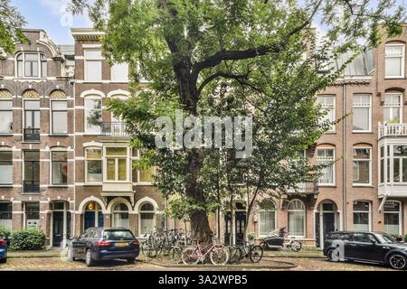 Elegante Reihe historischer Gebäude, die von Bäumen eingerahmt sind und einzigartige architektonische Stile und das urbane Leben in Amsterdam zeigen. Stockfoto
