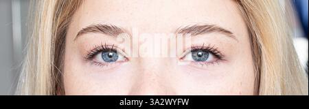 Nahaufnahme schöner blauer Augen und perfekter Augenbrauen junger Frau nach Mikroblading-Behandlung Stockfoto