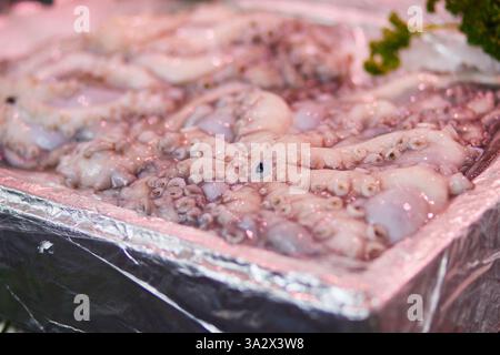 Frischer Tintenfisch auf dem Bauernmarkt in Paris, Frankreich. Typischer europäischer Fischmarkt Stockfoto