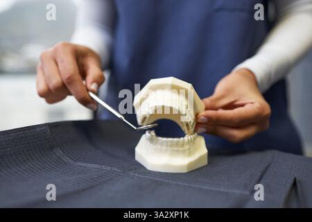 Nahaufnahme der Zahnarzthandchen zur Darstellung der Zahnanatomie mit einem Kunststoffmodell und Zahnarztwerkzeug Stockfoto