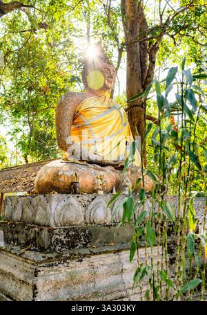Unter einem Baumdach liegen religiöse Denkmäler in den Hügeln, die von lokalen Dorfbewohnern genutzt werden, inmitten von Regenwaldlandschaften. Stockfoto