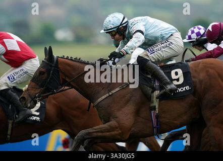 Aktenfoto vom 04.05.2024 von Kargese, ein Tipp für die 2,00 in Cheltenham. Ausgabedatum: Freitag, 14. März 2025. Stockfoto