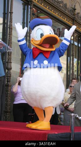 9. AUGUST 2004 - HOLLYWOOD, KALIFORNIEN, USA - DONALD DUCK - MIT STAR AUF DEM HOLLYWOOD WALK OF FAME GEEHRT -. DONALD DUCK FEIERT SEINEN 70. GEBURTSTAG UND WIRD MIT DEM 2257. STERN VOR DEM DISNEY STORE GEEHRT -. HOLLYWOOD BOULEVARD, HOLLYWOOD, CA - 08/09/2004 -. NINA PROMMER/ 2004.K38658NP(Bild: © Globe Photos/ZUMAPRESS.com) Stockfoto