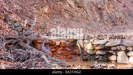 Eine ruhige natürliche Quelle kaskadiert über reiche Mineralsteine im Oborishte-Gebiet, Bulgarien, wo unberührte Natur auf friedliche Einsamkeit trifft. Stockfoto