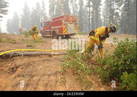 22. September 2014 – DIE FEUERWEHR schneidet die Bürste am Straßenrand ab, um das King Fire davon abzuhalten, die Wentworth Springs Road im Eldorado National Forest zu überqueren. "Jedes bisschen hilft", sagte ein Feuerwehrmann. Bergdemokraten Foto von Krysten Kellum (Foto: © Mountain Democrat/ZUMA Wire) Stockfoto