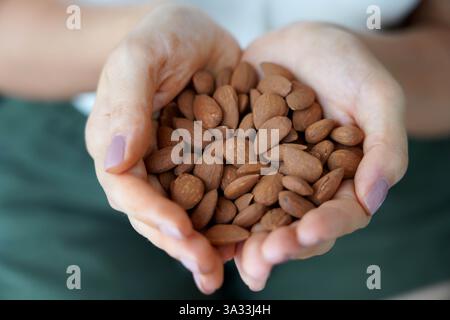 Mandeln Ungeschält. Nahaufnahme von weiblichen Händen, die einen Mandelhaufen ungeschält halten. Stockfoto