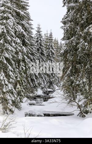 Fluss Mummel im Schnee, Harrachsdorf im Riesengebirge, Tschechien, Europa Stockfoto