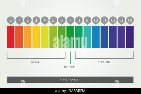 Abbildung der PH-Skala mit 14 Stufen, von sauer über neutral bis alkalisch, Vektordesign Stock Vektor