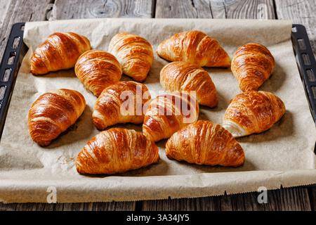 Frisch im Ofen gebackene Mini-Croissants auf einem Pergamentpapier auf einer Bettpfanne auf einem grauen rustikalen Holztisch, horizontaler Blick Stockfoto