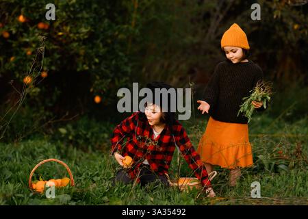 Zwei Kinder in gemütlicher Kleidung pflücken Orangen in einem lebhaften grünen Garten. Ein Korbkorb mit Früchten daneben, der eine idyllische Freiluft-Ha darstellt Stockfoto