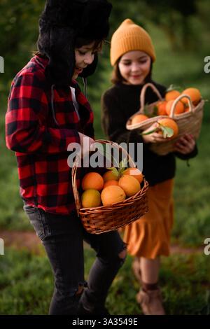 Zwei Kinder tragen Korbkörbe mit Orangen in einem lebendigen Obstgarten. Warm gekleidet, genießen sie einen sonnigen Tag in der Natur und zeigen die Freude o Stockfoto