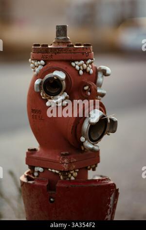 Ein verwitterter, roter Hydrant, bedeckt mit Nabeln, zeigt Rost und Verfall. Das ungewöhnliche Meereswachstum auf einem städtischen Objekt deutet auf Verlassenheit hin, Zeitpas Stockfoto