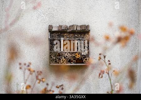 Ein zerstörtes Osmium-Nest, das an einer Steinmauer hängt. Insektenhotel im Garten Stockfoto