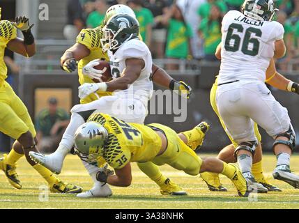 6. September 2014 - Eugene, OR, USA - 06. September 2014: Joe Walker (35) stürzt auf Michigan State Spartans Jeremy Langford (33) mit Oregon Ducks Defensive Lineman DeForest Buckner (44), der als die Oregon Ducks die Michigan State Spartans 47-27 im Autzen Stadium, Eugene, besiegt, OR (Credit Image: © Larry C. Lawson/Cal Sport Media/ZUMAPRESS.com) Stockfoto