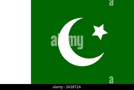 Nationalflagge von Pakistan Land Vektor Illustration Stock Vektor
