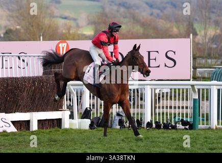 Ahoy Senor wurde von Derek Fox beim Boodles Cheltenham Gold Cup Chase am vierten Tag des Cheltenham Festivals 2025 auf der Cheltenham Racecourse gefahren. Bilddatum: Freitag, 14. März 2025. Stockfoto