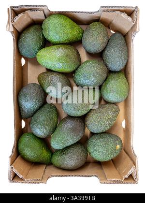 Avocado in Karton, Draufsicht, isoliert auf weiß, mit Beschneidungspfad im Lieferumfang enthalten Stockfoto