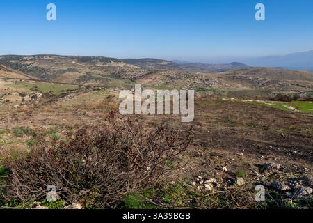 Ein Wald im Galiläa-Gebirge brannte nach dem Beschuss der Hisbollah ab Stockfoto