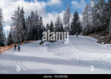 Frischer Schnee auf einem Skiweg, umgeben von hohen Bäumen Stockfoto