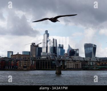 Dramatischer grauer Himmel über Wolkenkratzern und Millennium Bridge, während eine Möwe vorbeifliegt. London, März 2025 Stockfoto