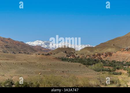 Schneebedecktes Atlasgebirge und Kiefernwald zwischen Marrakesch und Ouarzazate Stockfoto