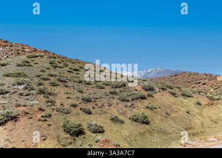 Schneebedecktes Atlasgebirge und Kiefernwald zwischen Marrakesch und Ouarzazate Stockfoto